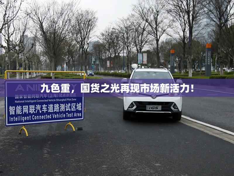 九色重，国货之光再现市场新活力！
