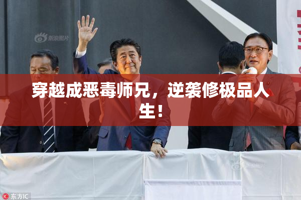 穿越成恶毒师兄，逆袭修极品人生！