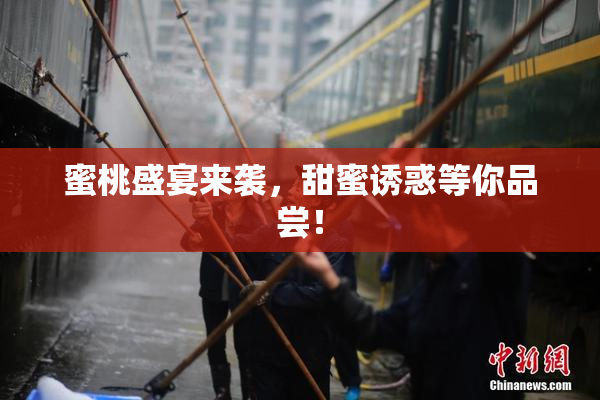 蜜桃盛宴来袭，甜蜜诱惑等你品尝！