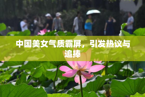 中国美女气质霸屏，引发热议与追捧