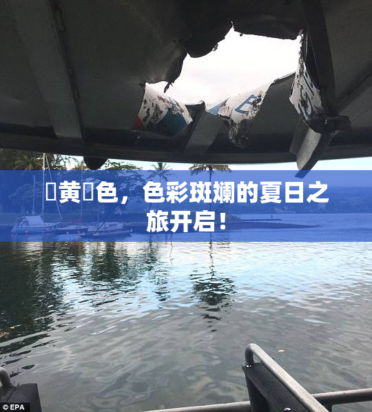 ✿黄✿色，色彩斑斓的夏日之旅开启！