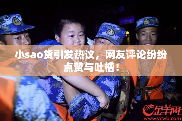 小sao货引发热议，网友评论纷纷点赞与吐槽！