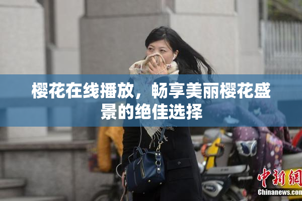 樱花在线播放，畅享美丽樱花盛景的绝佳选择