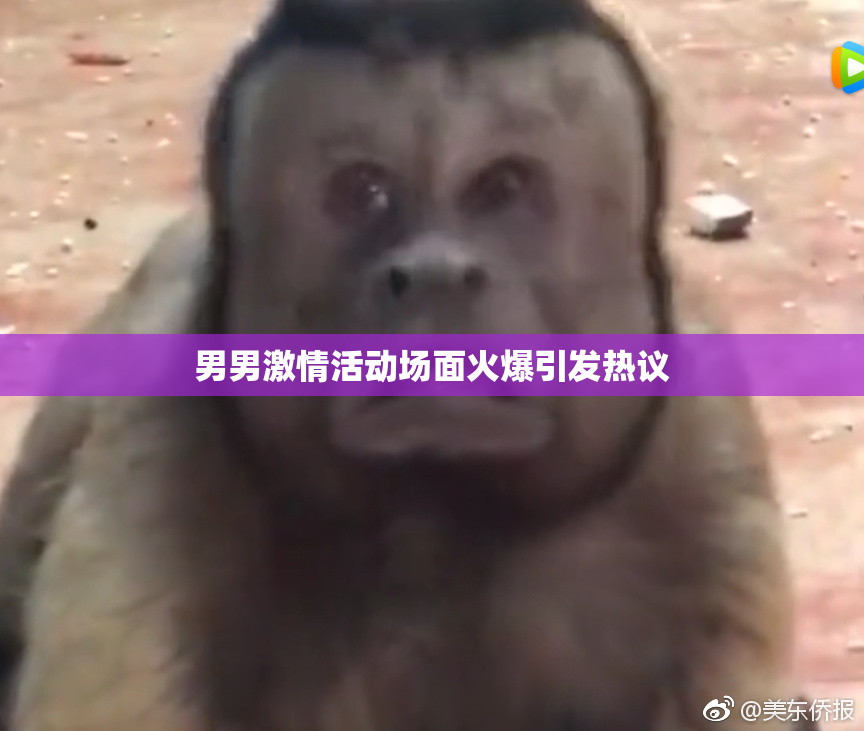 男男激情活动场面火爆引发热议