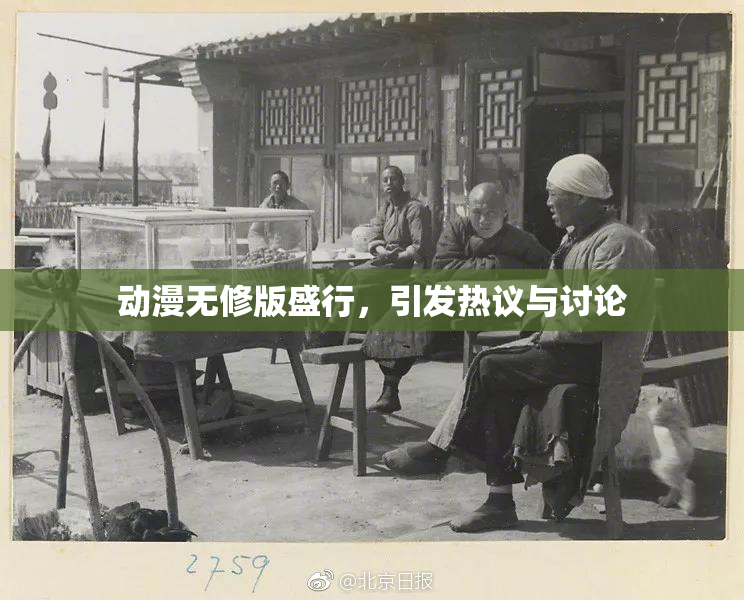 动漫无修版盛行，引发热议与讨论