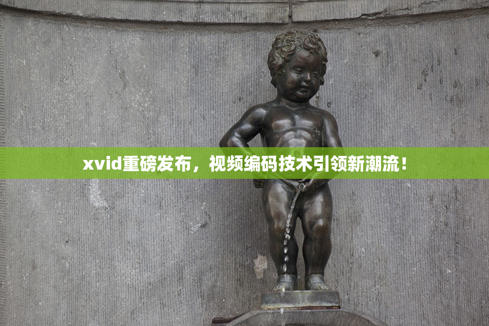 xvid重磅发布，视频编码技术引领新潮流！