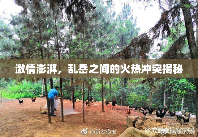 激情澎湃，乱岳之间的火热冲突揭秘