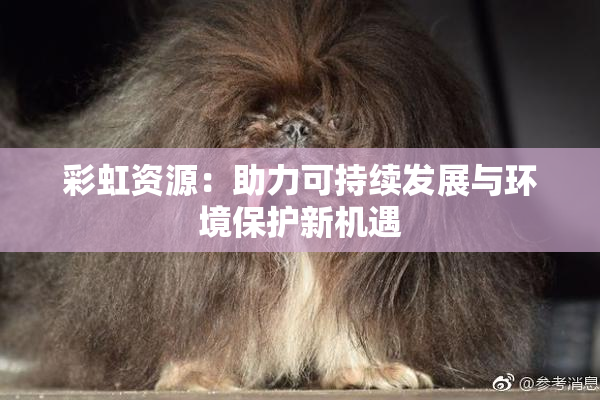 彩虹资源：助力可持续发展与环境保护新机遇