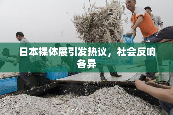 日本裸体展引发热议，社会反响各异