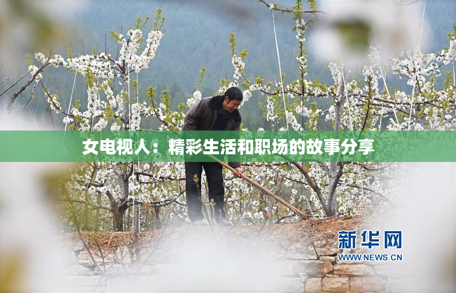 女电视人：精彩生活和职场的故事分享