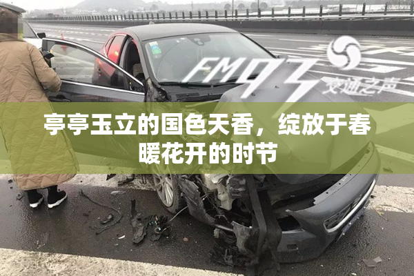 亭亭玉立的国色天香，绽放于春暖花开的时节