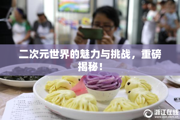 二次元世界的魅力与挑战，重磅揭秘！
