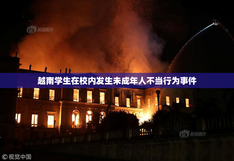 越南学生在校内发生未成年人不当行为事件