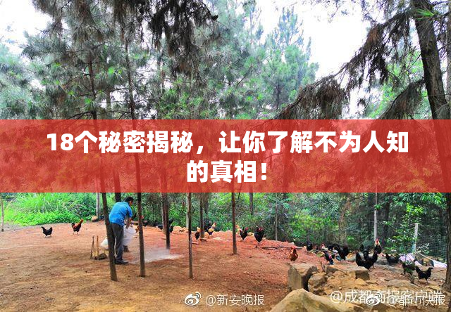 18个秘密揭秘，让你了解不为人知的真相！