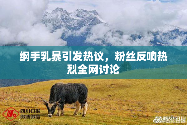 纲手乳暴引发热议，粉丝反响热烈全网讨论