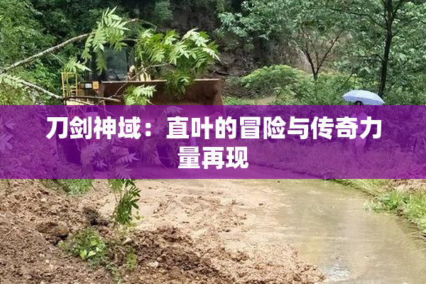 刀剑神域：直叶的冒险与传奇力量再现