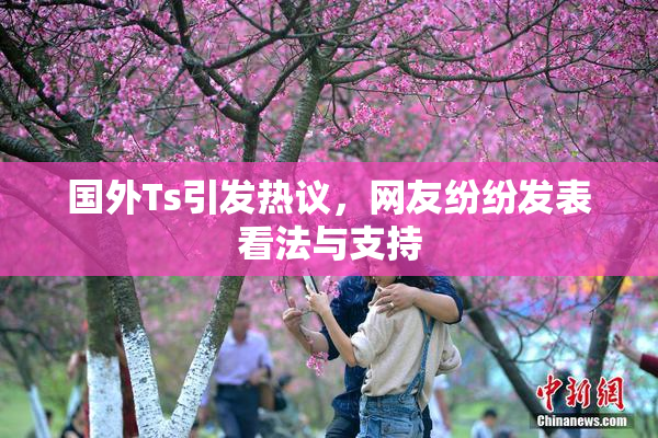 国外Ts引发热议，网友纷纷发表看法与支持