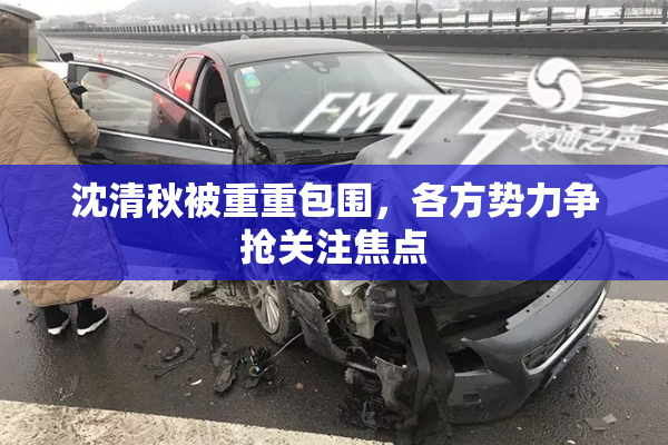 沈清秋被重重包围，各方势力争抢关注焦点
