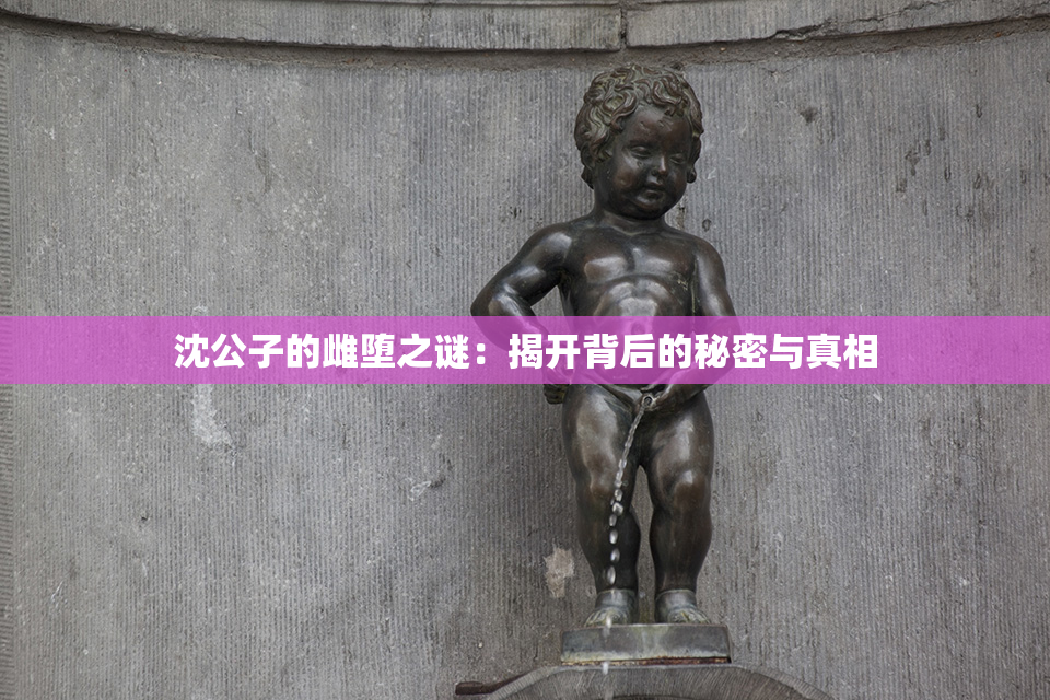 沈公子的雌堕之谜：揭开背后的秘密与真相