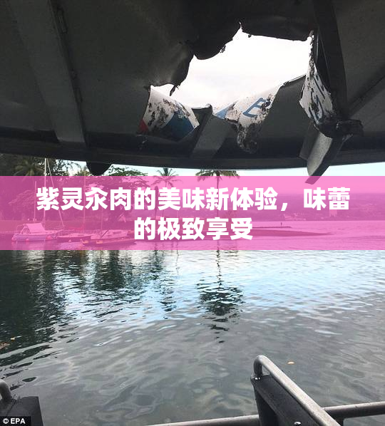 紫灵汆肉的美味新体验，味蕾的极致享受