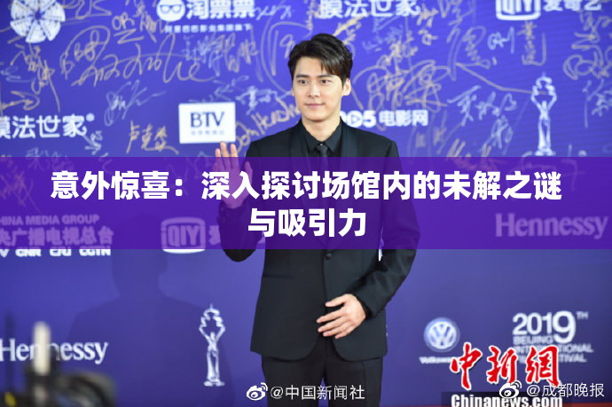 意外惊喜：深入探讨场馆内的未解之谜与吸引力