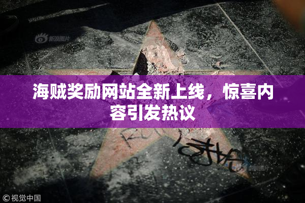 海贼奖励网站全新上线，惊喜内容引发热议