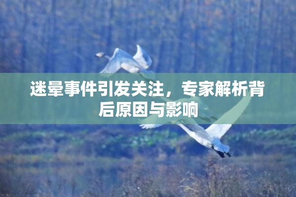 迷晕事件引发关注，专家解析背后原因与影响