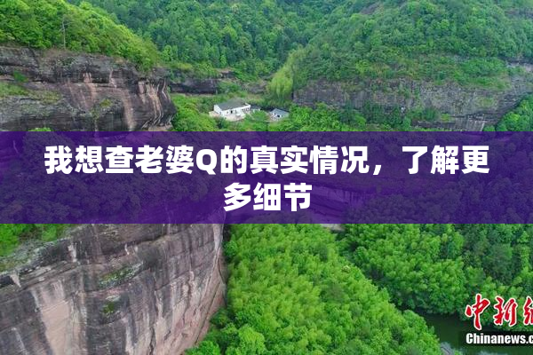 我想查老婆Q的真实情况，了解更多细节