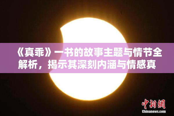 《真乖》一书的故事主题与情节全解析，揭示其深刻内涵与情感真谛。