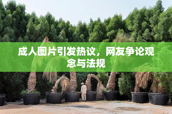 成人图片引发热议，网友争论观念与法规
