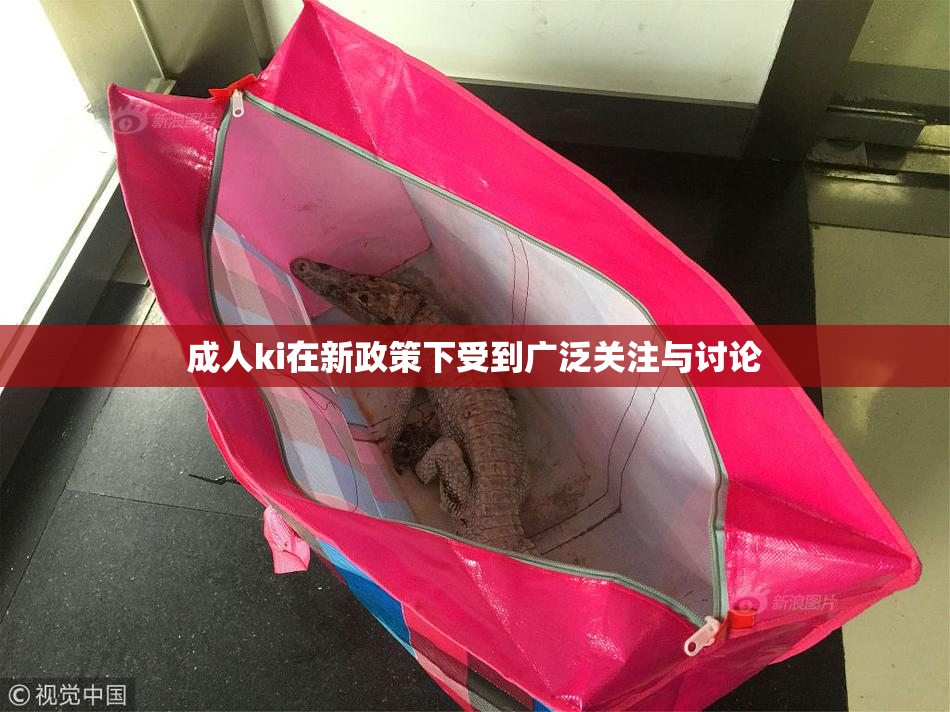 成人ki在新政策下受到广泛关注与讨论