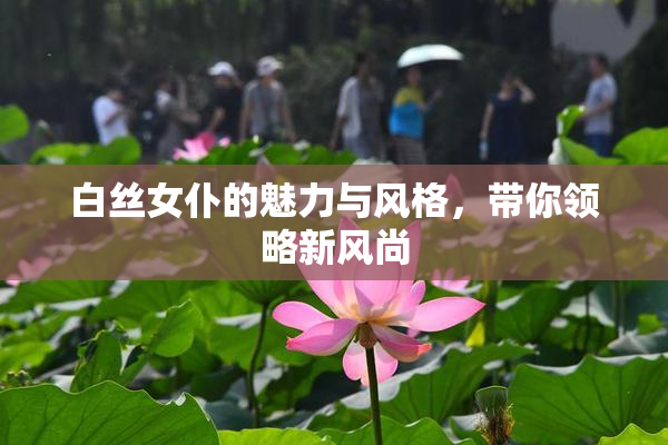 白丝女仆的魅力与风格，带你领略新风尚