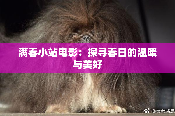 满春小站电影：探寻春日的温暖与美好