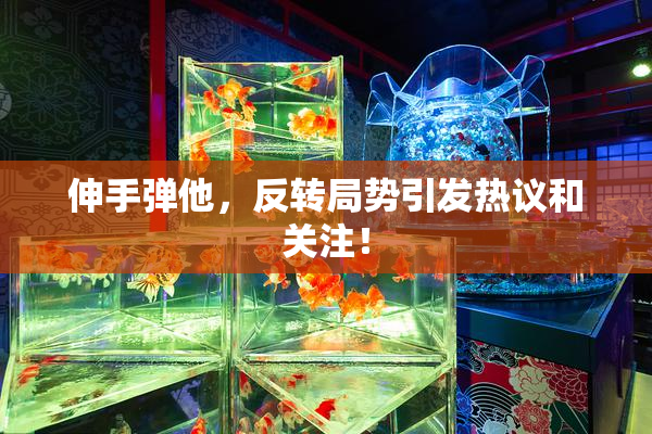 伸手弹他，反转局势引发热议和关注！