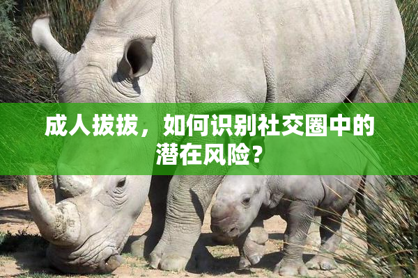 成人拔拔，如何识别社交圈中的潜在风险？