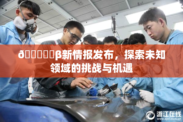 🍆❌‌β新情报发布，探索未知领域的挑战与机遇