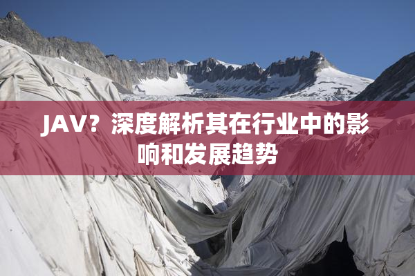 JAV？深度解析其在行业中的影响和发展趋势