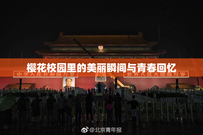 樱花校园里的美丽瞬间与青春回忆