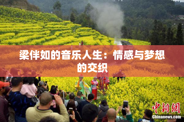 梁伴如的音乐人生：情感与梦想的交织
