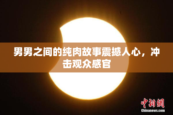 男男之间的纯肉故事震撼人心，冲击观众感官