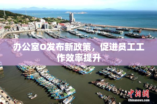 办公室O发布新政策，促进员工工作效率提升