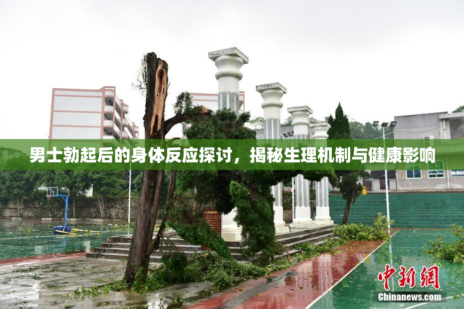 男士勃起后的身体反应探讨，揭秘生理机制与健康影响