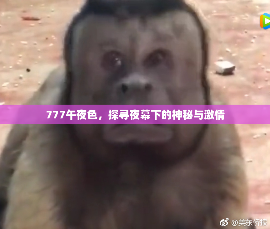 777午夜色，探寻夜幕下的神秘与激情