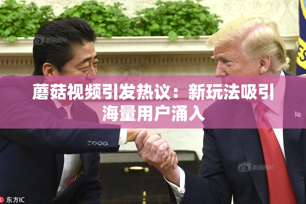 蘑菇视频引发热议：新玩法吸引海量用户涌入