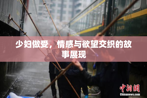 少妇做受，情感与欲望交织的故事展现