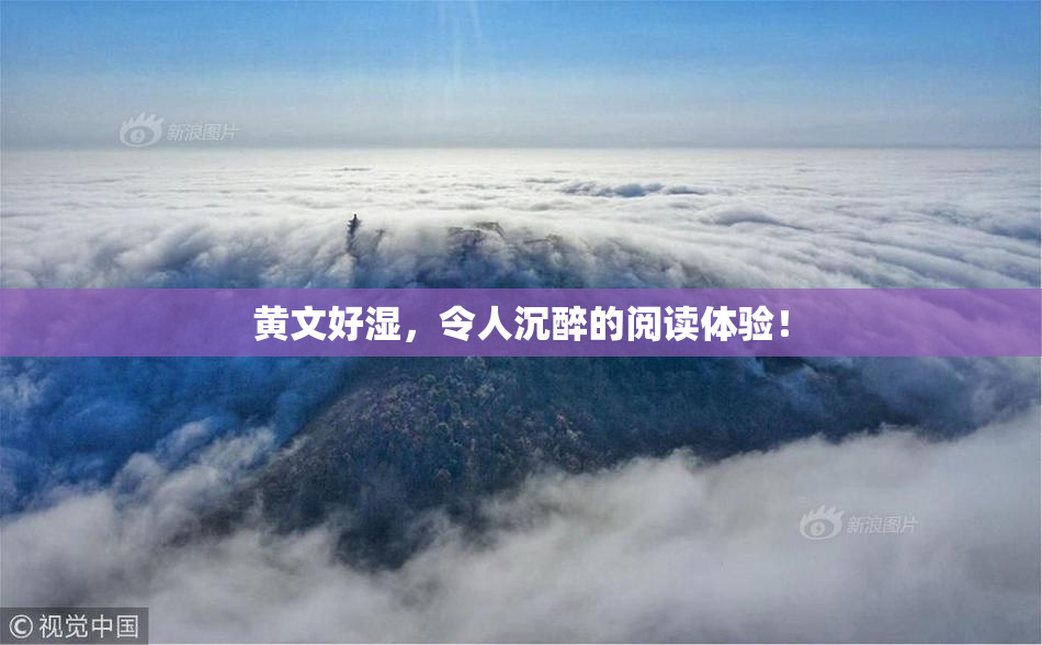 黄文好湿，令人沉醉的阅读体验！