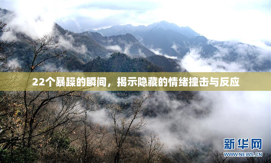 22个暴躁的瞬间，揭示隐藏的情绪撞击与反应