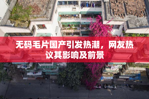 无码毛片国产引发热潮，网友热议其影响及前景