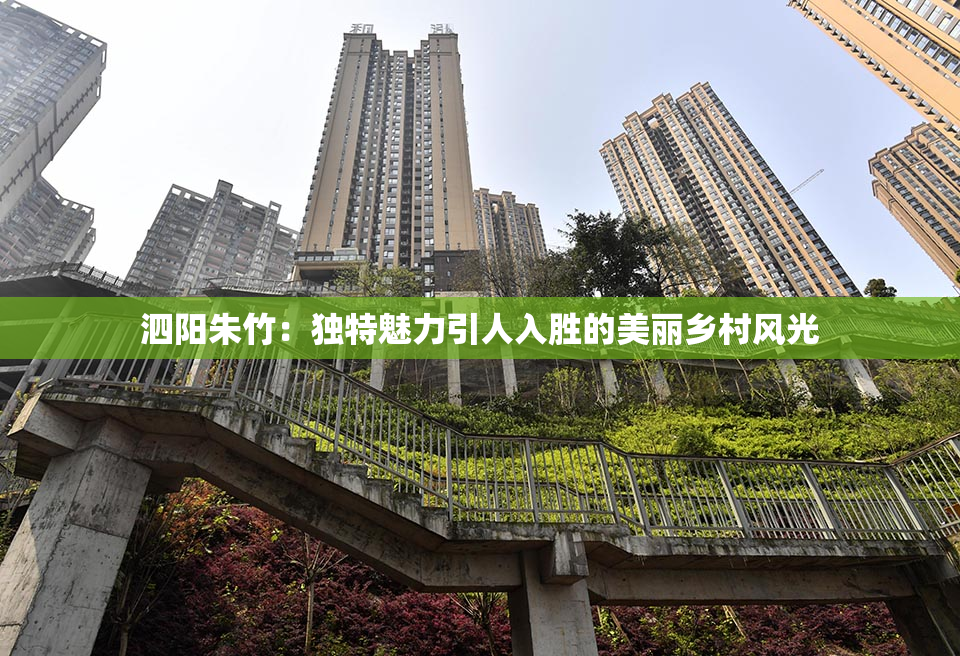 泗阳朱竹：独特魅力引人入胜的美丽乡村风光