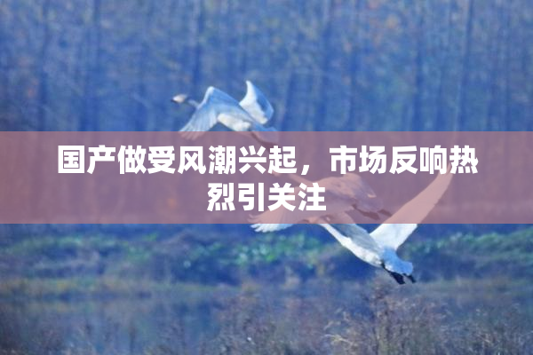 国产做受风潮兴起，市场反响热烈引关注